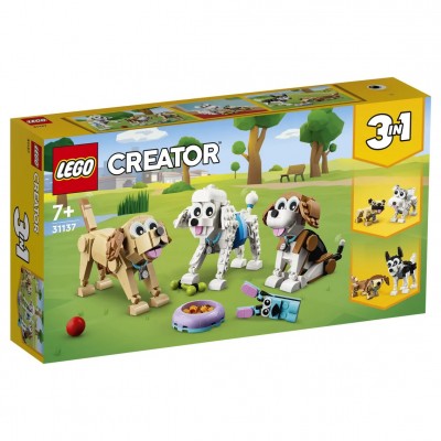 Adorable Dogs 31137