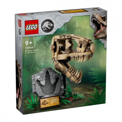 Dinosaur Fossils: T-Rex Skull 76964