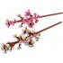 Botanical Collection – Cherry Blossoms 40725