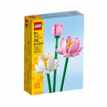 Botanical Collection – Lotus Flowers 40647