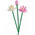 Botanical Collection – Lotus Flowers 40647