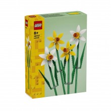 Botanical Collection – Daffodils 40747