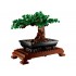 Botanical Collection – Bonsai Tree 10281