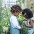 Βαζάκι Παρατήρησης Εντόμων Fairy Garden