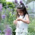 Βαζάκι Παρατήρησης Εντόμων Fairy Garden
