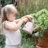 Ποτιστήρι Fairy Garden