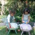 Καροτσάκι Κήπου Fairy Garden