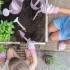 Σετ Παιδικών Εργαλείων Κήπου Fairy Garden