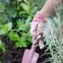 Σετ Παιδικών Εργαλείων Κήπου Fairy Garden