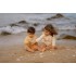 Μπλουζάκι Μακρυμάνικο Με Προστασία UV Seashells Sunny Yellow Νο86/92