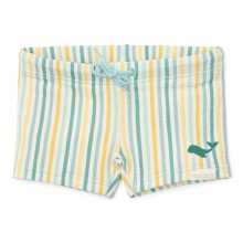 Μαγιό Σορτσάκι Stripes Multi-Colour Νο98/104