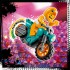 Stunt Chicken Bike 60310