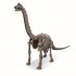 Ανασκαφή Δεινόσαυρου - Βραχιόσαυρος
